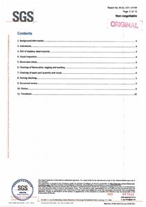 Отчет об инспекции SGS 2