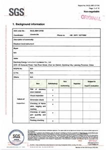 Отчет об инспекции SGS 3