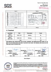 Отчет об инспекции SGS 6